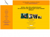 flydisco.de Webseite Vorschau