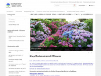 hortensien.net Webseite Vorschau