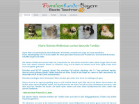 familienhunde-bayern.de Webseite Vorschau