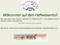 fjordpferde-vom-oderhaff.de Webseite Vorschau