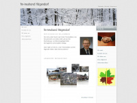 fmtreuhand.com Webseite Vorschau