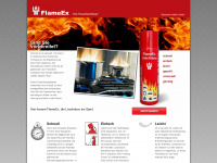 flameex.de Webseite Vorschau