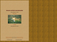 safaricards.de Webseite Vorschau