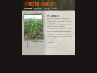 foerster-energy.de Webseite Vorschau