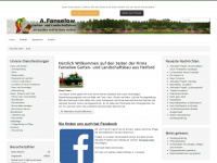fanselow.info Webseite Vorschau