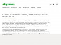 boymann.de Webseite Vorschau