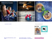 kitz-magazin.de Webseite Vorschau