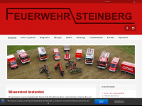feuerwehr-steinberg.com Webseite Vorschau