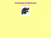 ferienhaus-hollerbusch.de Webseite Vorschau
