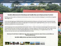 ferienhaus-sanitz.de Webseite Vorschau