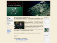 dir-m.com Webseite Vorschau