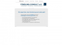 fuendling-consult.de Webseite Vorschau