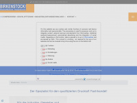 birkenstock-drucklufttechnik.de Webseite Vorschau