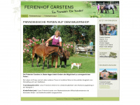 fewopony.de Webseite Vorschau