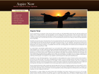 aspirenow.com Webseite Vorschau
