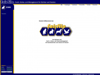 fairfile.de Webseite Vorschau