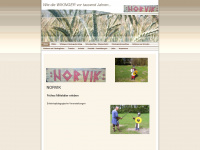 norvik.de Webseite Vorschau