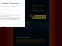 encryptfiles.net Webseite Vorschau