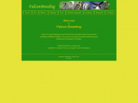 falcon-breeding.de Webseite Vorschau