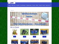 faustballmalmsheim.de Webseite Vorschau