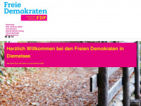 fdp-diemelsee.de Webseite Vorschau