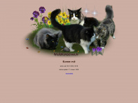 waldkatzenwelt.de Webseite Vorschau