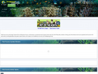 fishforums.net Webseite Vorschau
