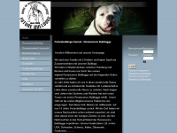 futurebulldogs.de Webseite Vorschau