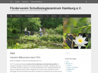 fs-hamburg.org Webseite Vorschau