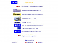lico.hu Webseite Vorschau