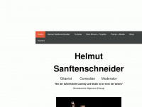 sanftenschneider.com Webseite Vorschau