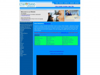 ethiotrans.com Webseite Vorschau