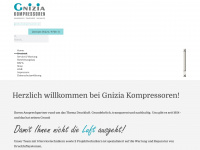 gnizia-kompressoren.de Webseite Vorschau