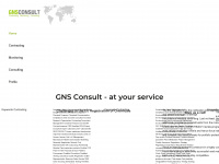 gns-consult.com Webseite Vorschau