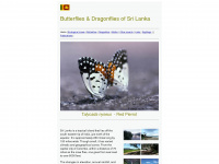 Srilankaninsects.net