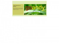 goandy.de Webseite Vorschau