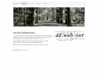 df-web.net Webseite Vorschau