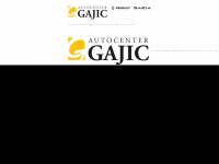 gajic.com Webseite Vorschau