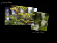 galerie-flora.de Webseite Vorschau