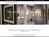 Galeriehoffman.com