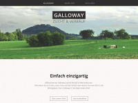 gallowaymk.de Webseite Vorschau