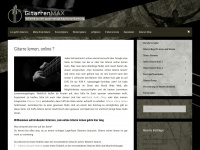 gitarren-max.de Webseite Vorschau