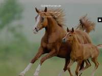 goldenhorses.de Webseite Vorschau