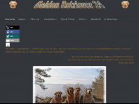 goldenretriever24.de Webseite Vorschau