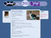hund-katze-maus.org Webseite Vorschau