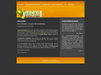 gecko-websolutions.com Webseite Vorschau