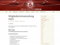 berlin-baskets.de Webseite Vorschau