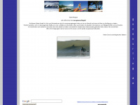 gonesurfing.de Webseite Vorschau