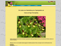 gartenorchideen.eu Webseite Vorschau