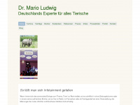 mario-ludwig.de Webseite Vorschau